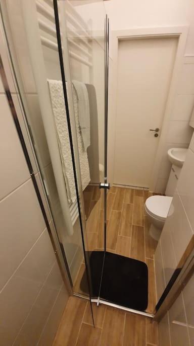 Apartament Violet With Air Condition Budapesta